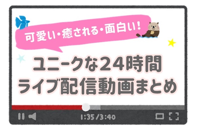 ユニークな２４時間ライブ配信動画まとめ 可愛い 癒される 面白い 人生は暇つぶし